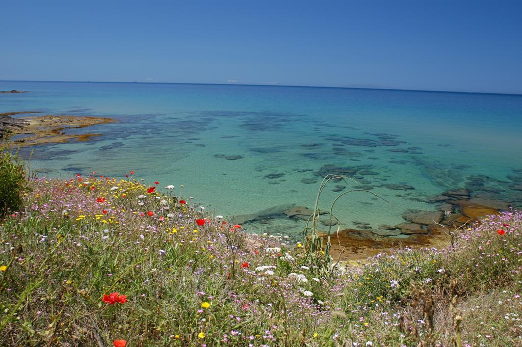 Sogno Di Rena Leilighet Castelsardo Eksteriør bilde